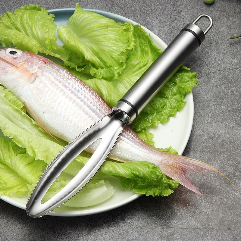 Stainless Fish Scales Scraping - Healthy Kitchen Gadgets ulasan dan harga