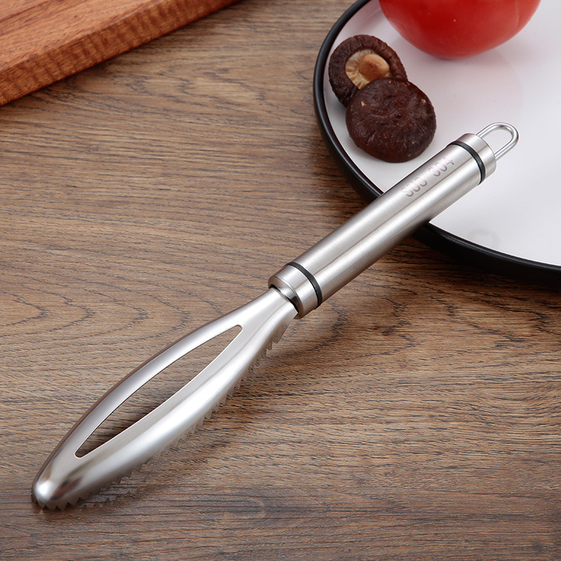Stainless Fish Scales Scraping - Healthy Kitchen Gadgets ulasan dan harga