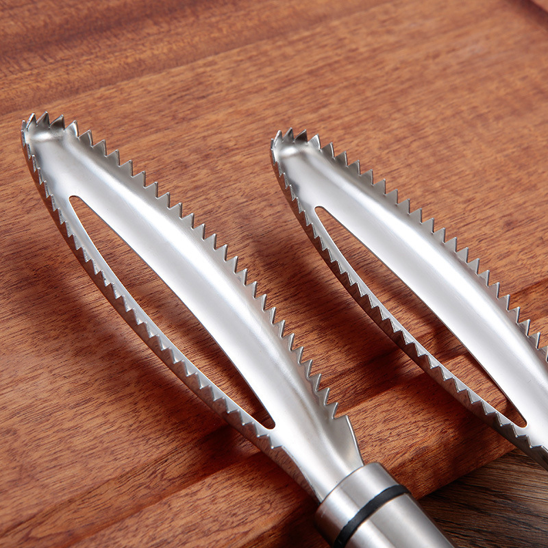Stainless Fish Scales Scraping - Healthy Kitchen Gadgets ulasan dan harga